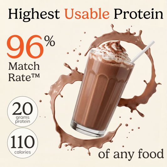 NutriMatch™ Chocolate Plant Protein Powder