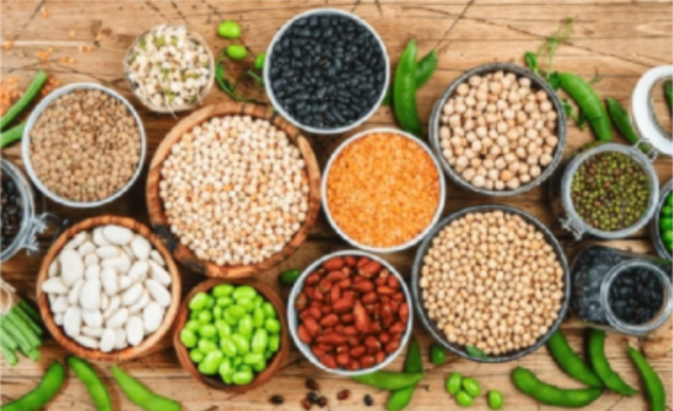 Recipe Test Page